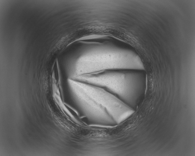 X0000082970642200702230008