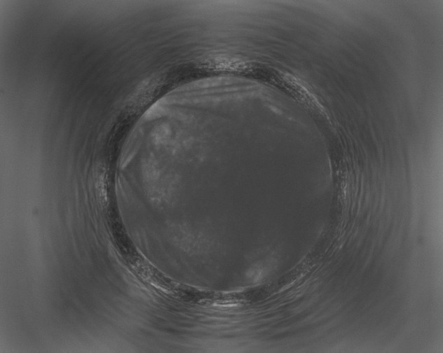 X0000082970643200702230008