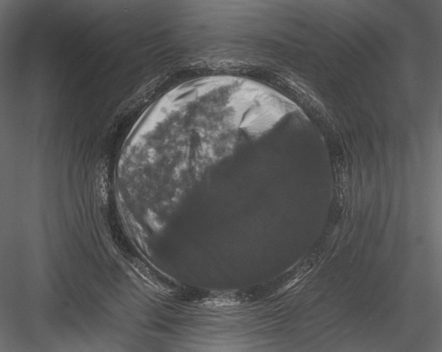 X0000082970644200702230008