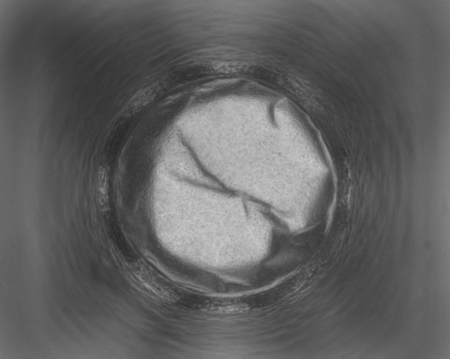 X0000082970646200702230008