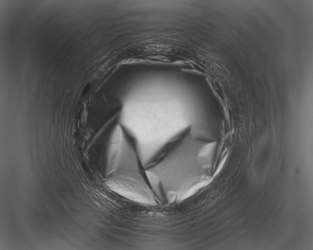 X0000082970649200702230008