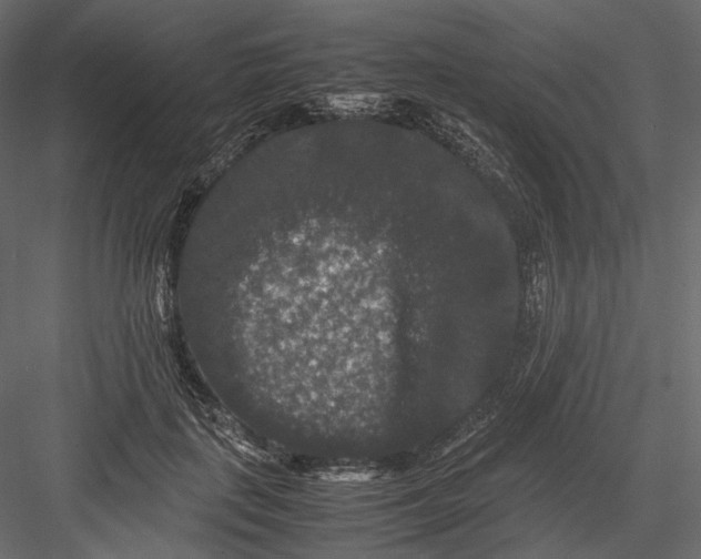 X0000082970651200702230008