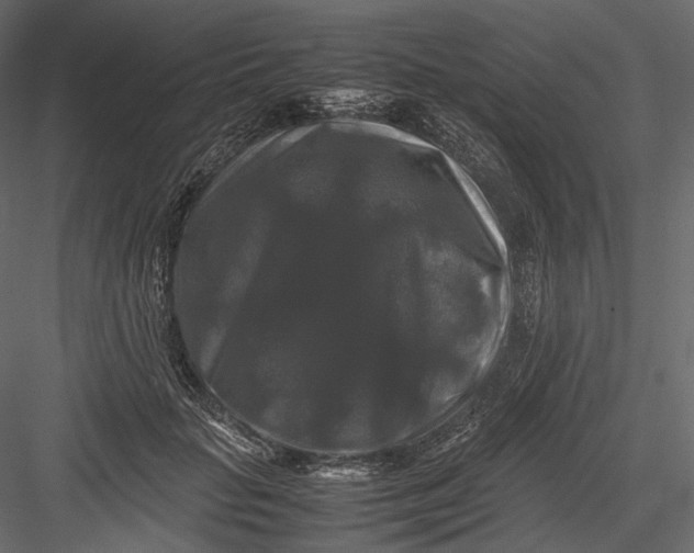 X0000082970653200702230008