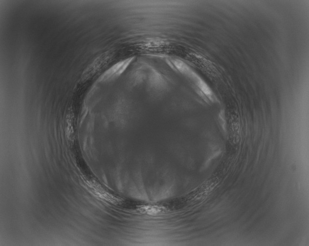 X0000082970654200702230008