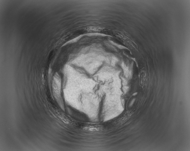 X0000082970655200702230008