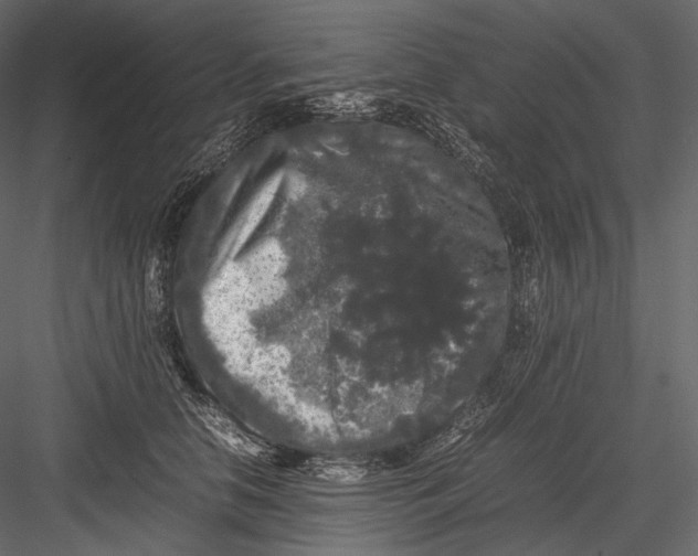 X0000082970658200702230008