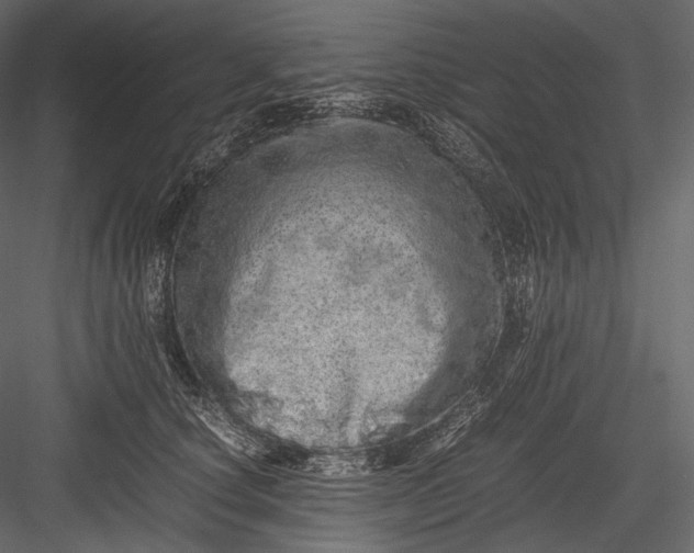 X0000082970660200702230008