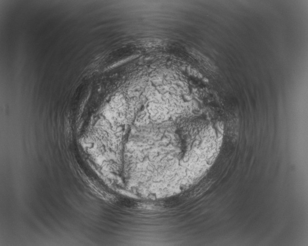 X0000082970662200702230008