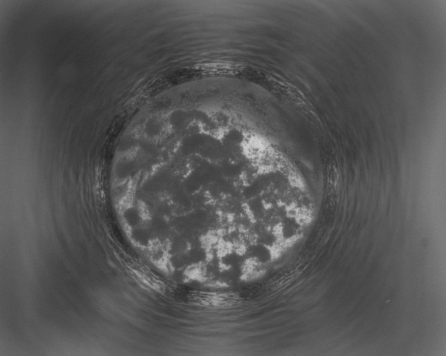 X0000082970663200702230008