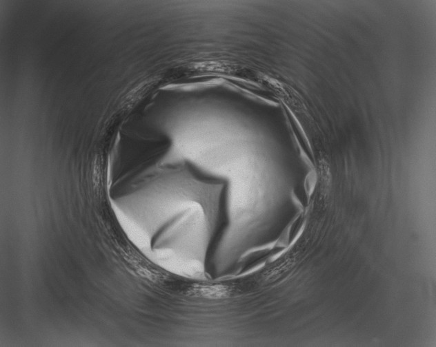 X0000082970665200702230008