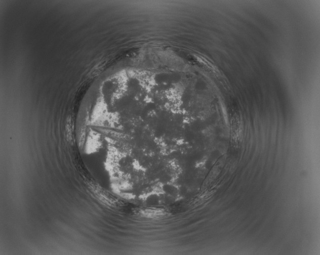 X0000082970669200702230008