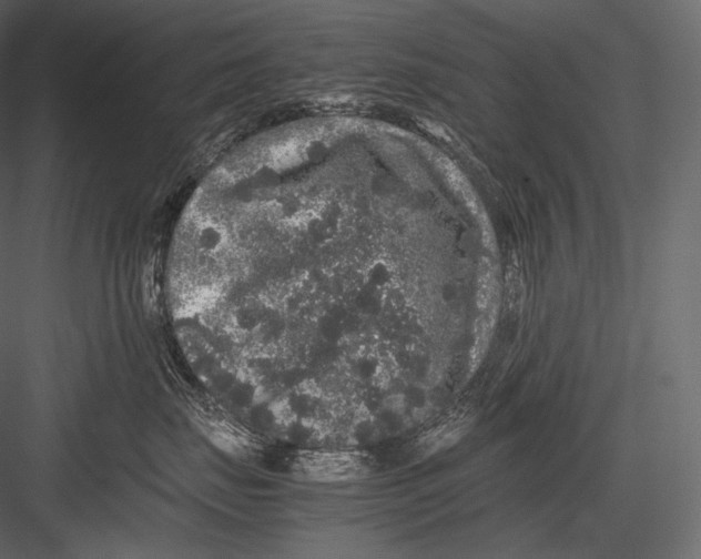 X0000082970671200702230008