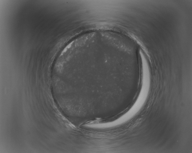 X0000082970673200702230008