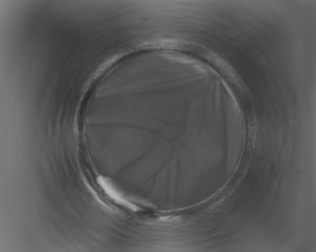 X0000082970674200702230007