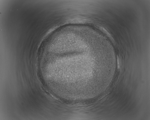 X0000082970675200702230007