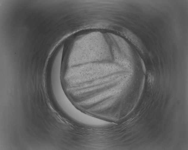 X0000082970676200702230007