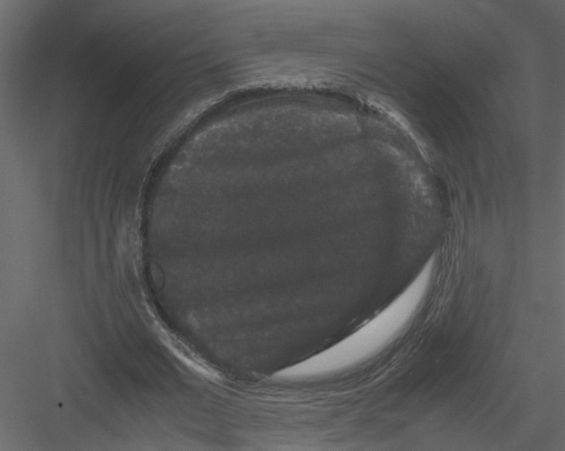 X0000082970677200702230007