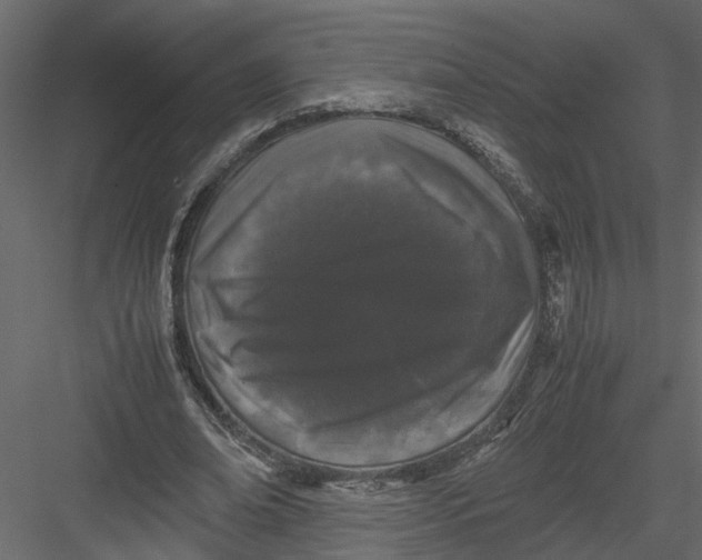 X0000082970678200702230007