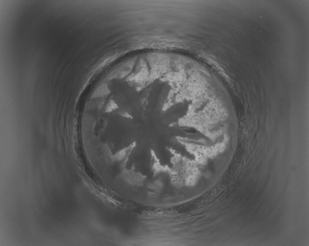 X0000082970679200702230007