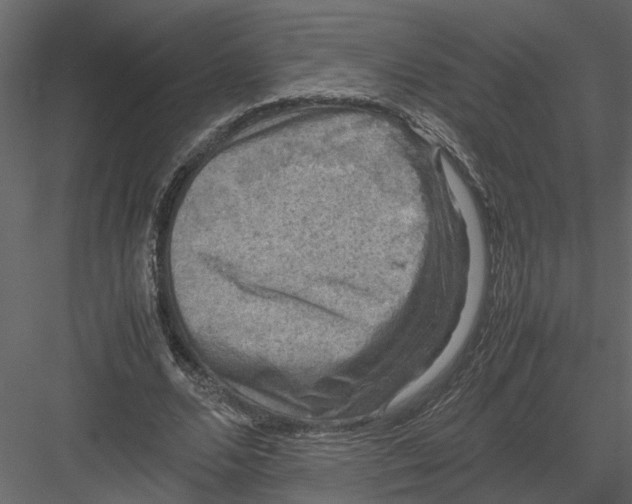 X0000082970680200702230007