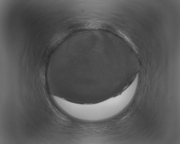 X0000082970681200702230007