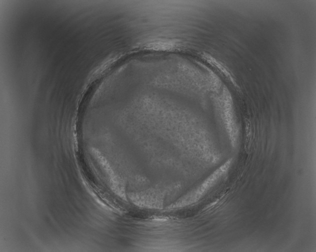 X0000082970682200702230007