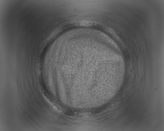 X0000082970683200702230007