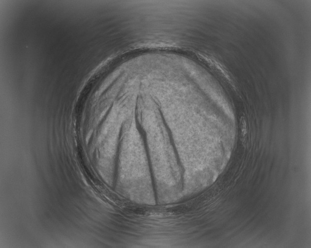 X0000082970684200702230007