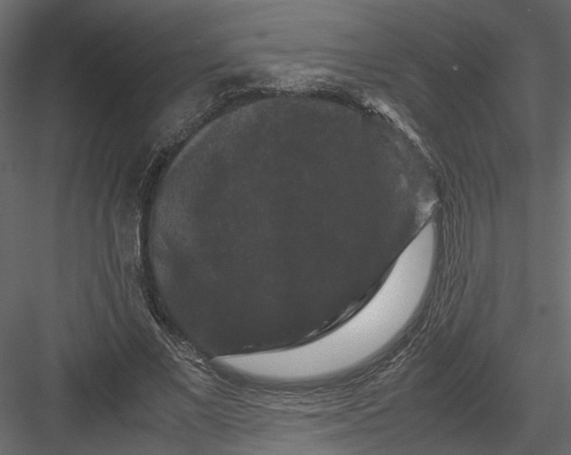 X0000082970685200702230007