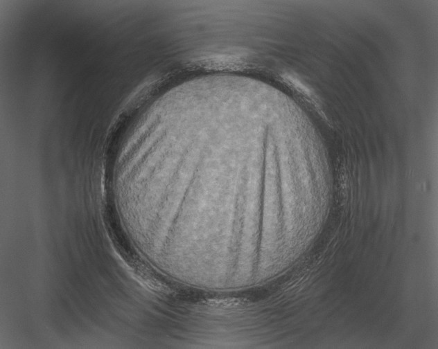 X0000082970686200702230007