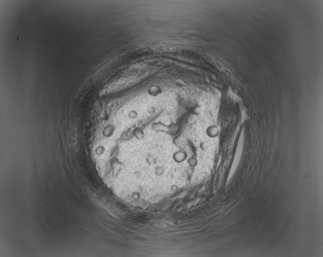 X0000082970687200702230007