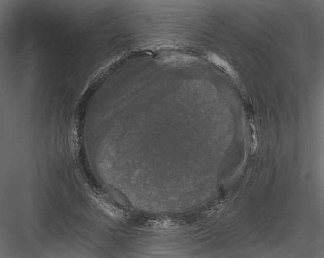 X0000082970688200702230007