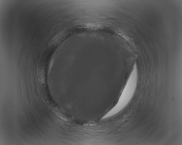 X0000082970689200702230007