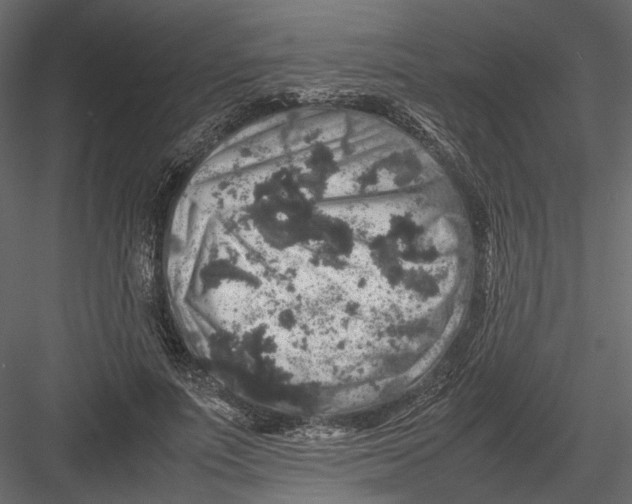 X0000082970691200702230007