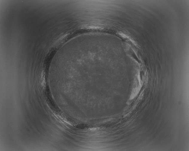 X0000082970692200702230007