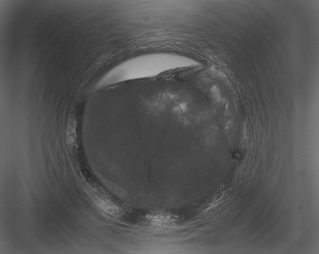 X0000082970693200702230007