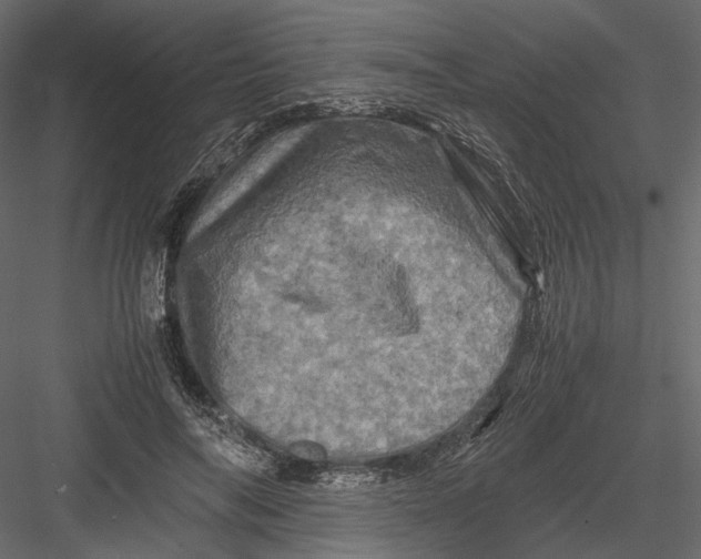 X0000082970694200702230007