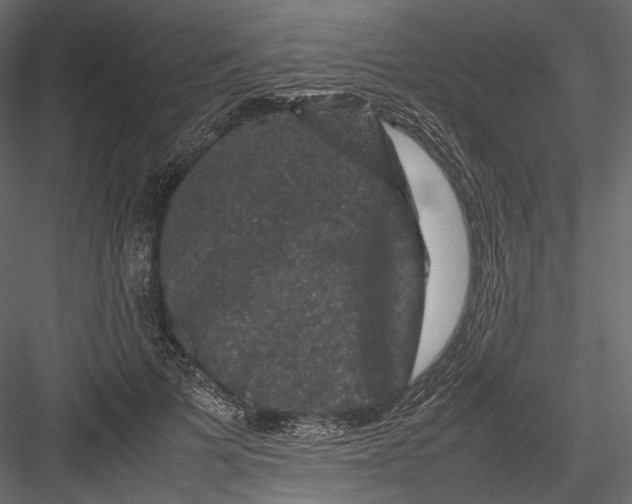 X0000082970697200702230007