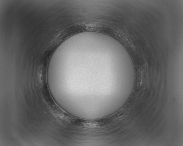 X0000082970698200702230007