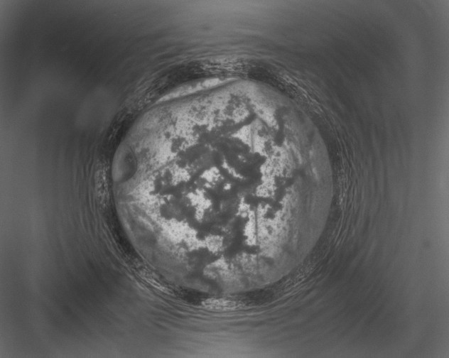 X0000082970699200702230007