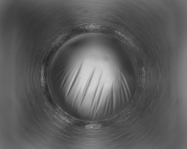 X0000082970700200702230007