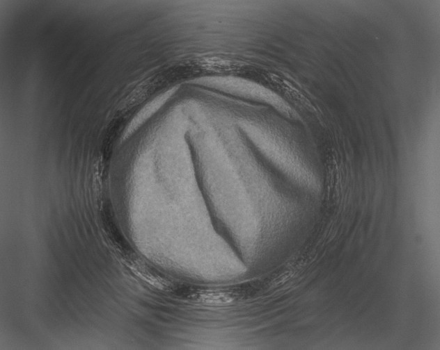 X0000082970702200702230007