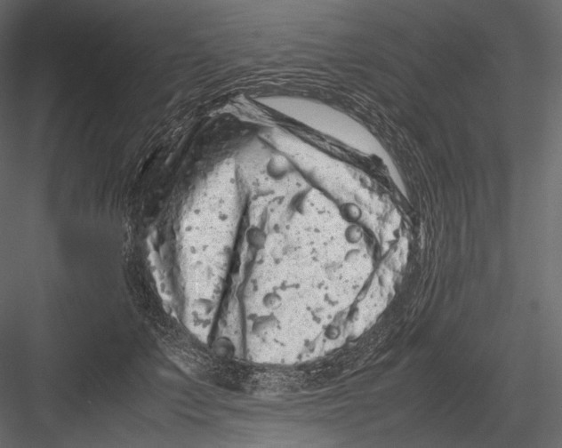 X0000082970703200702230007