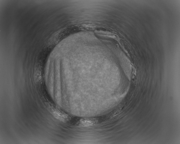 X0000082970706200702230007