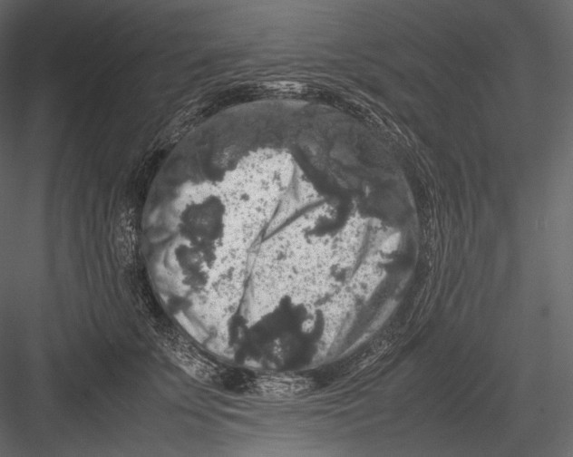 X0000082970707200702230007