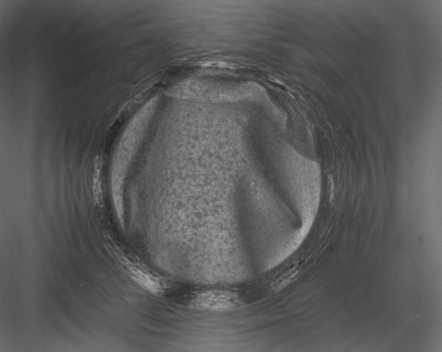 X0000082970708200702230007