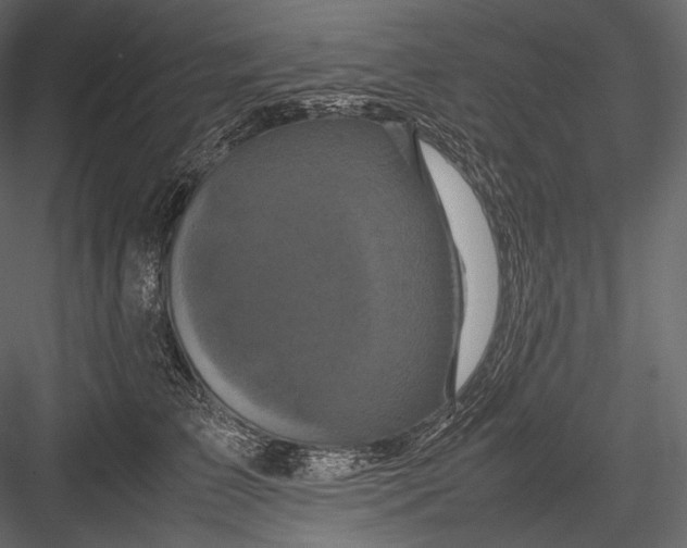 X0000082970709200702230007