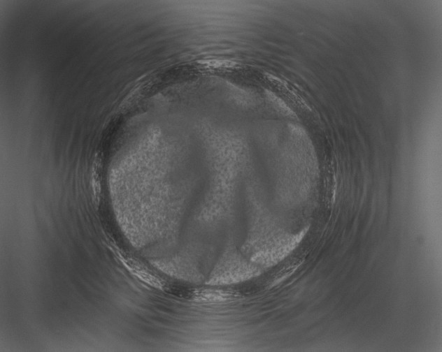 X0000082970710200702230007