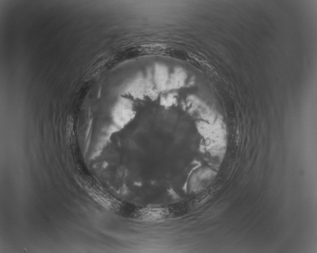 X0000082970711200702230007