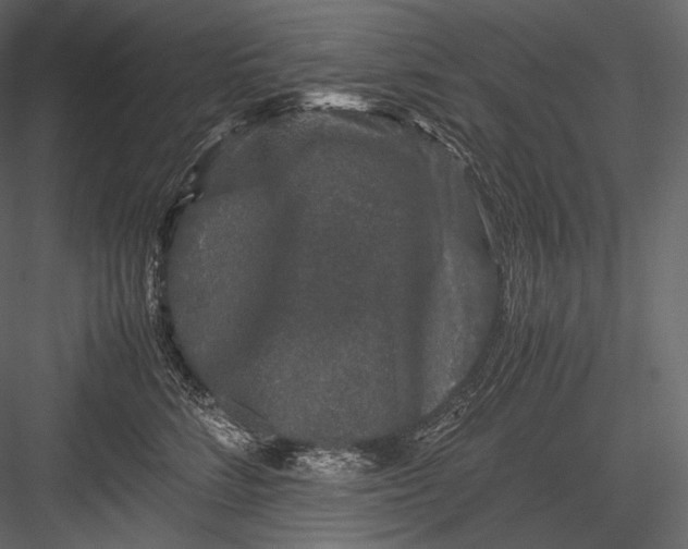 X0000082970712200702230007